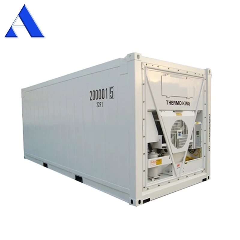 Thermoking Refrigeration 20 ft Reefer Container for Sale
