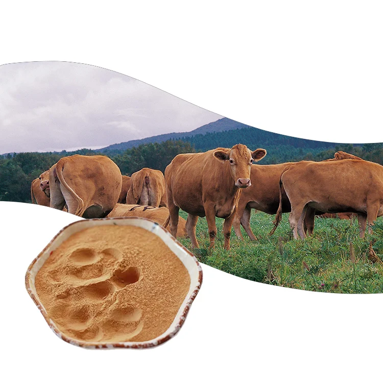 Feed Grade Bacillus Subtilis For Aquatic Animals Fish Nutrition Probiotics