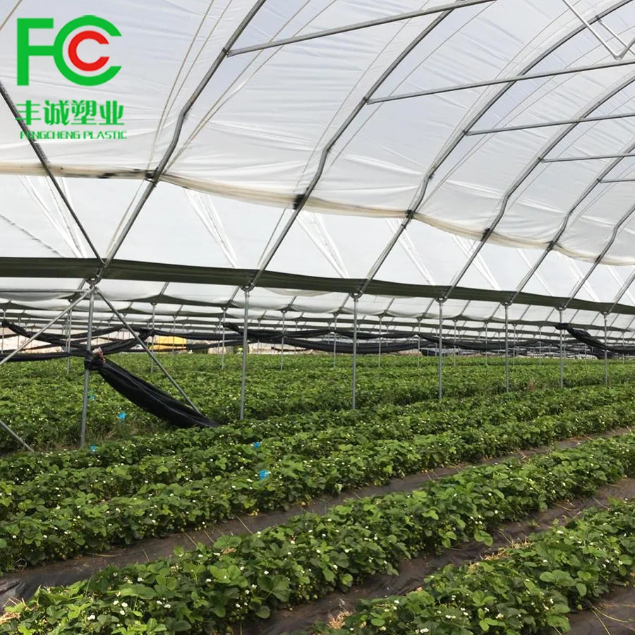 uv resistant ldpe film 200 micron greenhouse plastic for agriculture