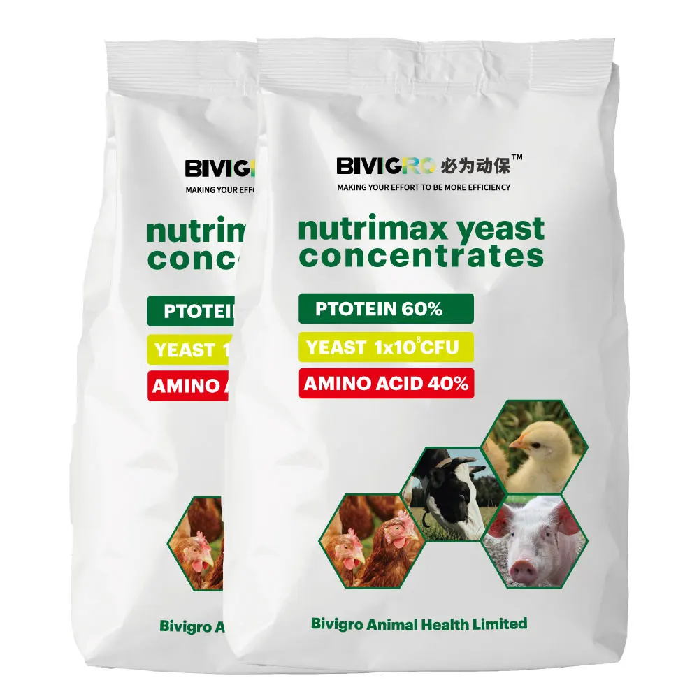 For Growth Promotion Yeast Feed Protein 60% For Supply Nutrition And Probiotic 10x10(11) cfu/g