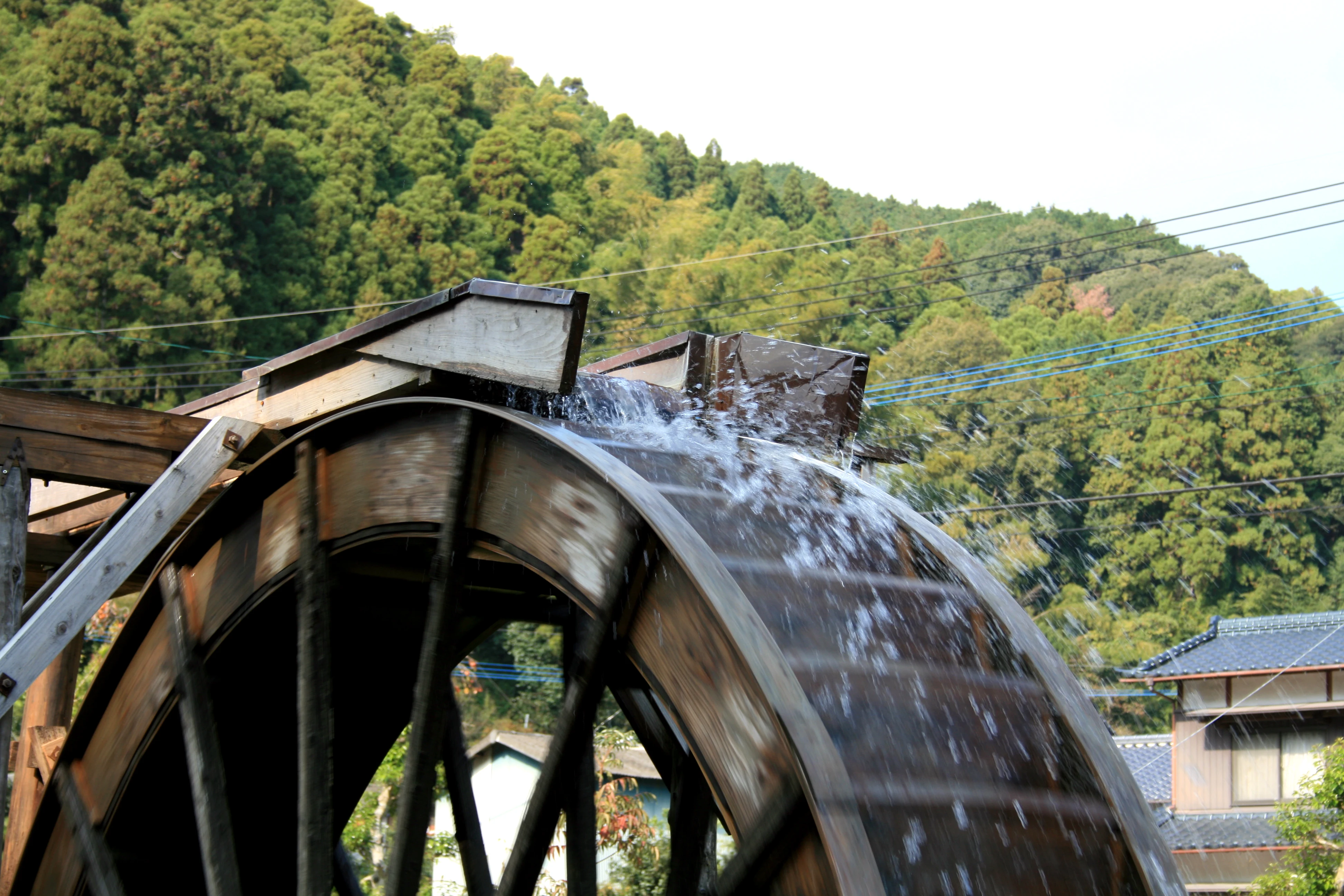 Japan price nutritional premium white rice products for sale