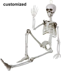 Customize 35 inch Halloween Skeleton Full Body Plastic Skeleton with Movable  Joints Perfect for Halloween Decorations Party