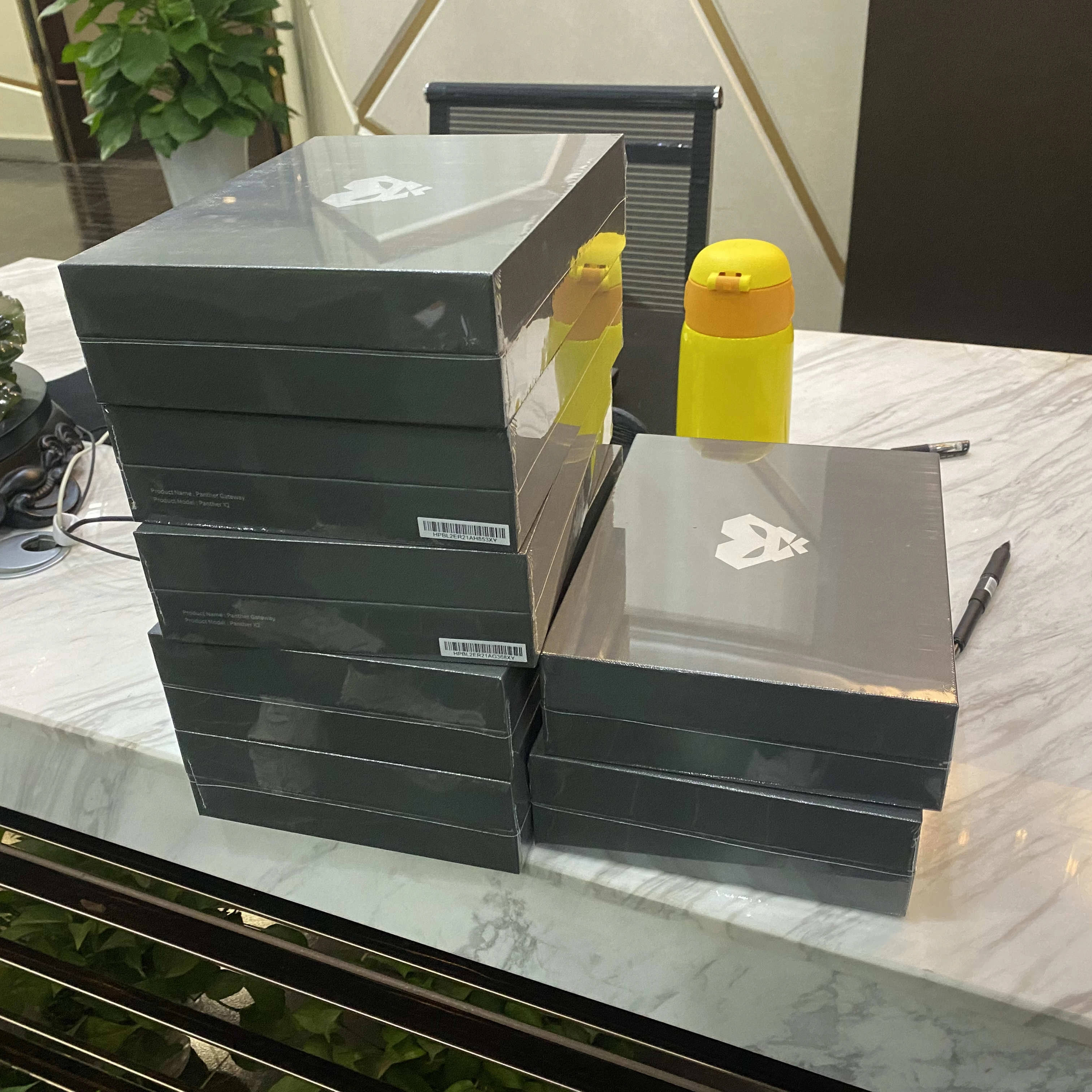 2022 горячая Распродажа Bobcat 300 гелиевая pantherX2 eu868 au915 us915 в течение 24 часов для