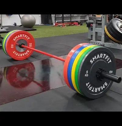 Smartfit Colored Rubber Bumper Plates Weight Lifting Plates Barbell  Bumper Plates 5-20KG 10-55LB