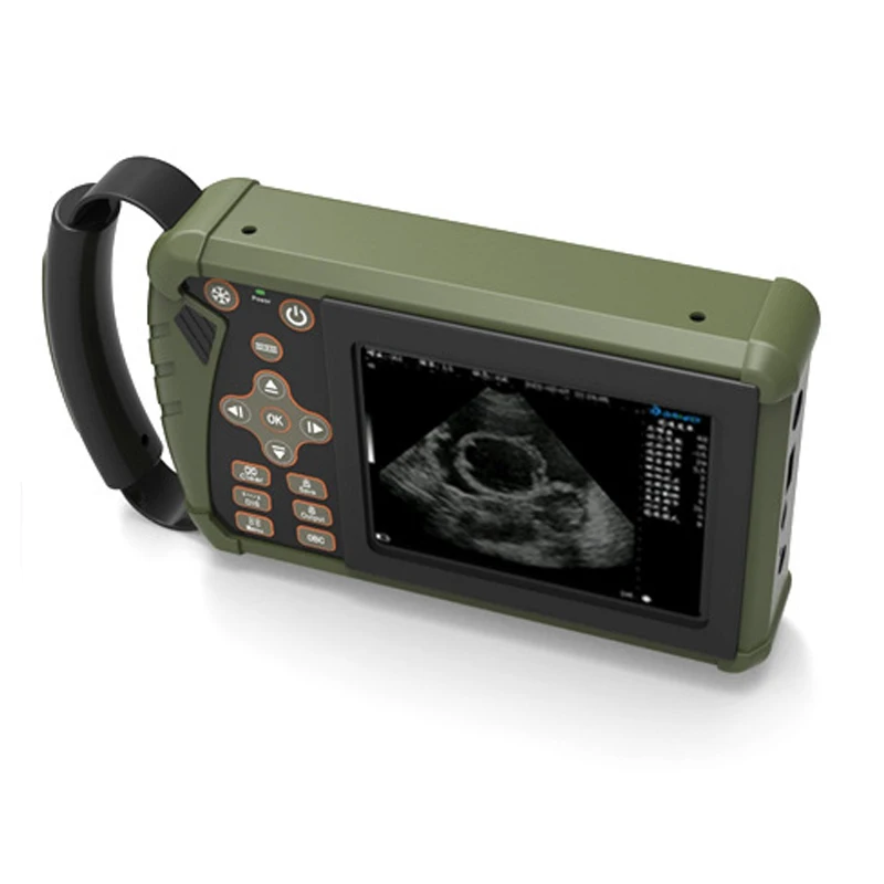 Easy Scan Portable Bovine Machine Fetal Sexing In Cows On Used Training Canada Videos Aging With Veterinary Ultrasound Machines