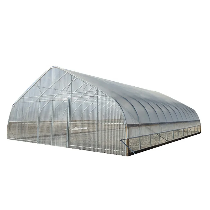 China Design Commercial Venlo Agricultural PO Film Plastic Single Span Tunnel  tomato Flower Vegetable Greenhouse