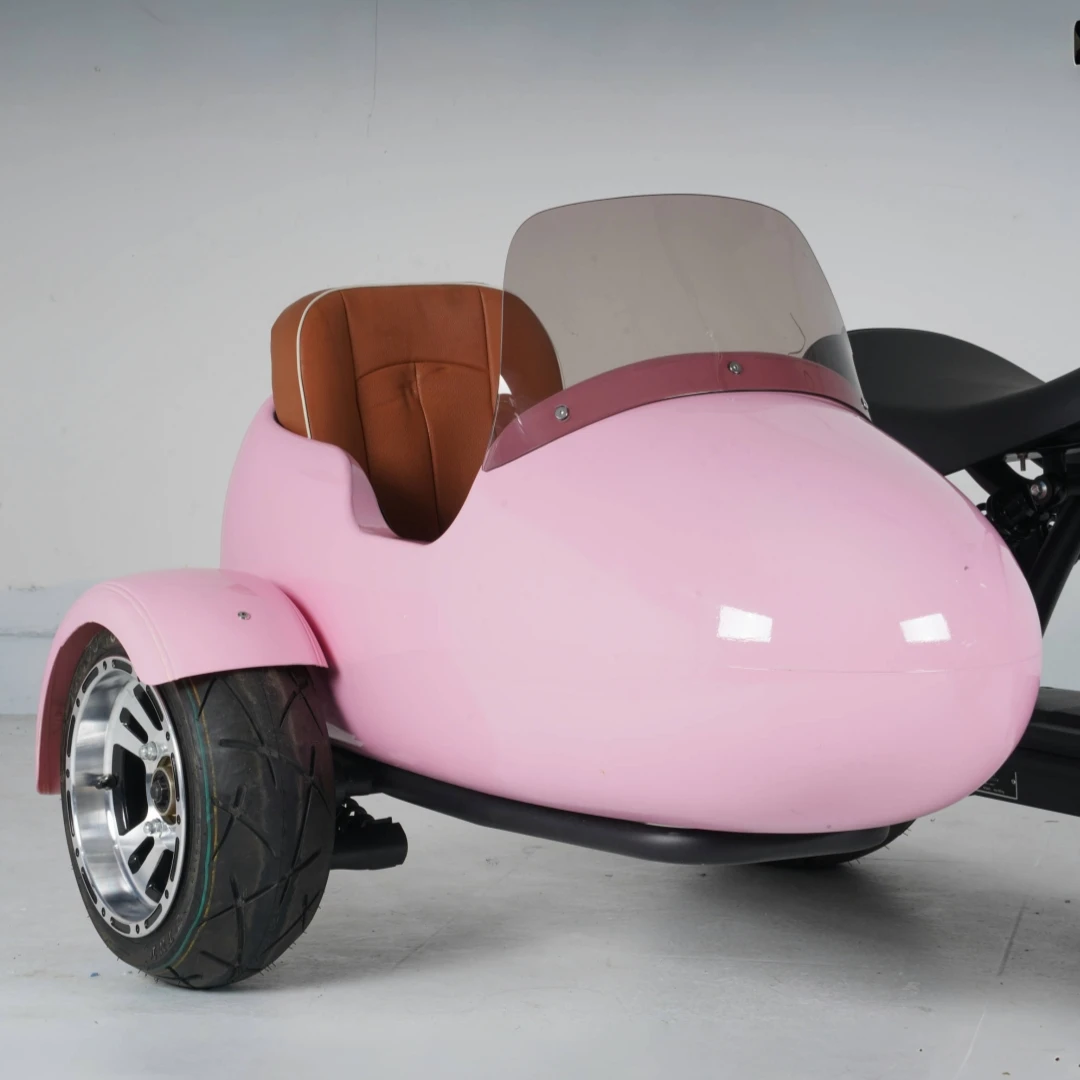 European Warehouse Citycoco Electric Scooter Sidecar with Leather Saddle for Kid Pet Adult