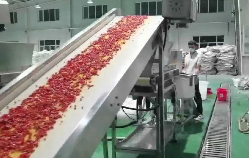 5 Tons/H automatic fresh hot chili pepper washing chopping   machines for chili pepper sauce  processing