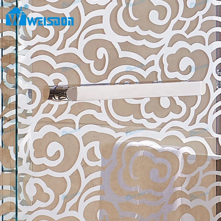 Weisdon Bathroom Stainless Steel Shower Screen Double Sliding Tempered Glass Framed Shower Door
