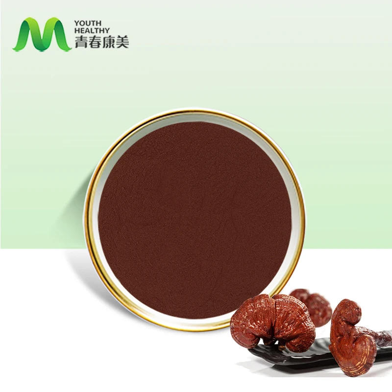 Hot Selling Red Reishi Mushroom Extract Powder