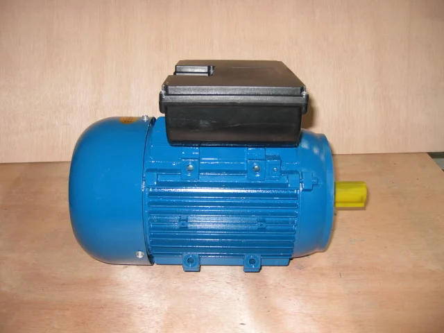 (YL100L2)YL series single-phase two-value capacitor asynchrinous motor