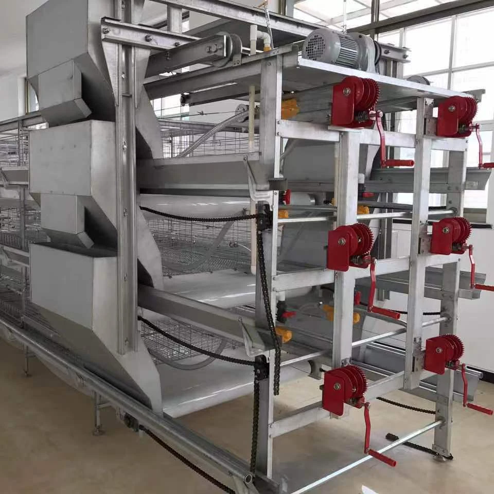 Automatic A Type Battery Chicken Layer Battery Cage System For Eggs Laying Hens Breeding Equipment