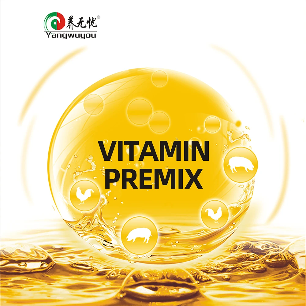 wholesale Poultry with water-soluble vitamin premix self nutrition complex youth premix native chicken premix