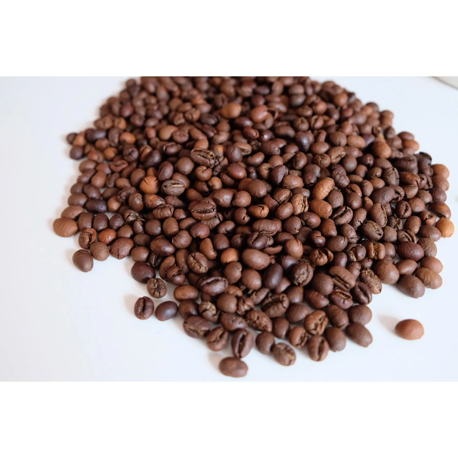 Vietnam Product Robusta S18 Roasted Carpentry Coffee Beans  Roasted Cafe  Robusta Roasted