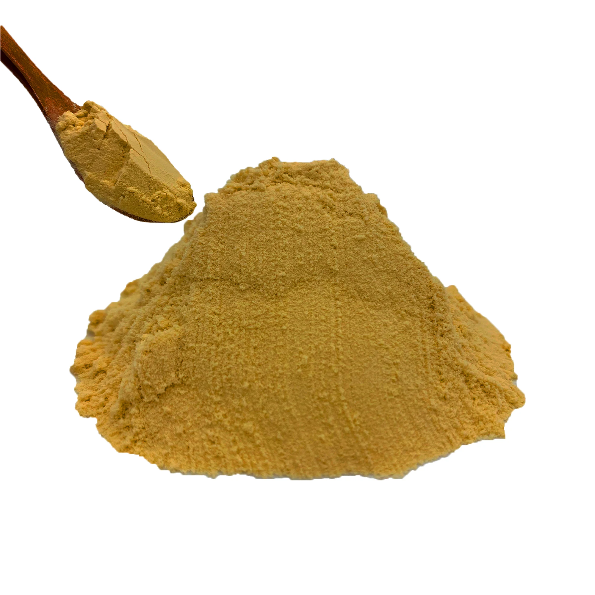 Export high quality clean 30% white flammulina velutipes golden enoki extract needle mushroom powder
