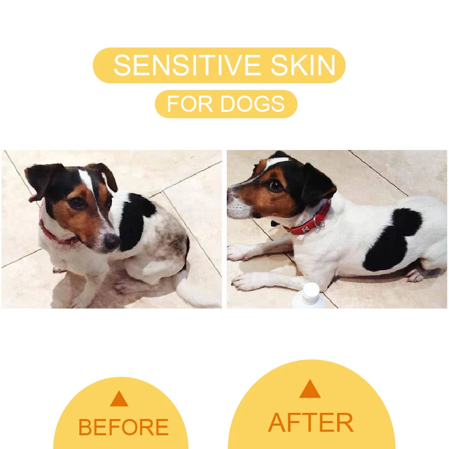 Private Label Pet Shampoo for Dogs Shampoo and Conditioner to Protect Sensitive Skin Organic Tear Free Formulated Dog Shampoo