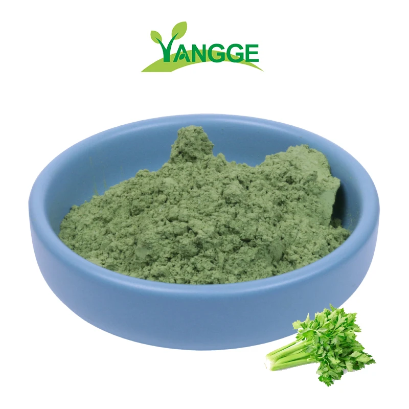 
Full of Vitamins Pure Organic Celery Juice Powder 