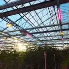 Large Medical Plant Growth Lamp Light Deprivation Equipment for Agriculture for Hemp Vegetables Cultivation