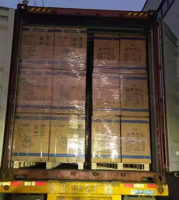 Poland Hot Sell Gasoline Gx160 Gx200 5.5HP 6.5HP 13kn 15kn 20kn Easy Use Vibrating Plate Compactor C80 C90 C100 80kg 90kg 100kg