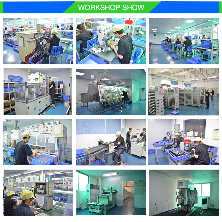 Customized 7.4v 500mah lipo battery