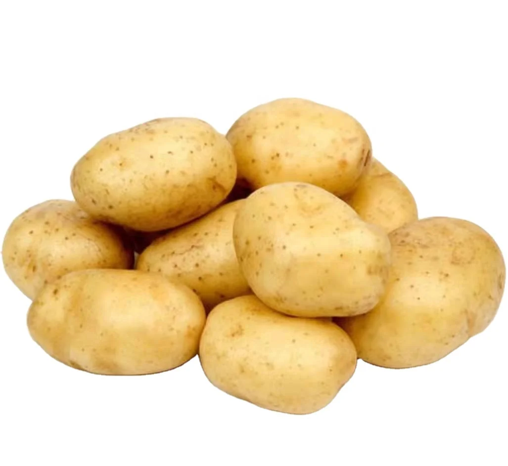 2021 High Quality Crop Farm Premium Quality Fresh Potato factory price fresh potato