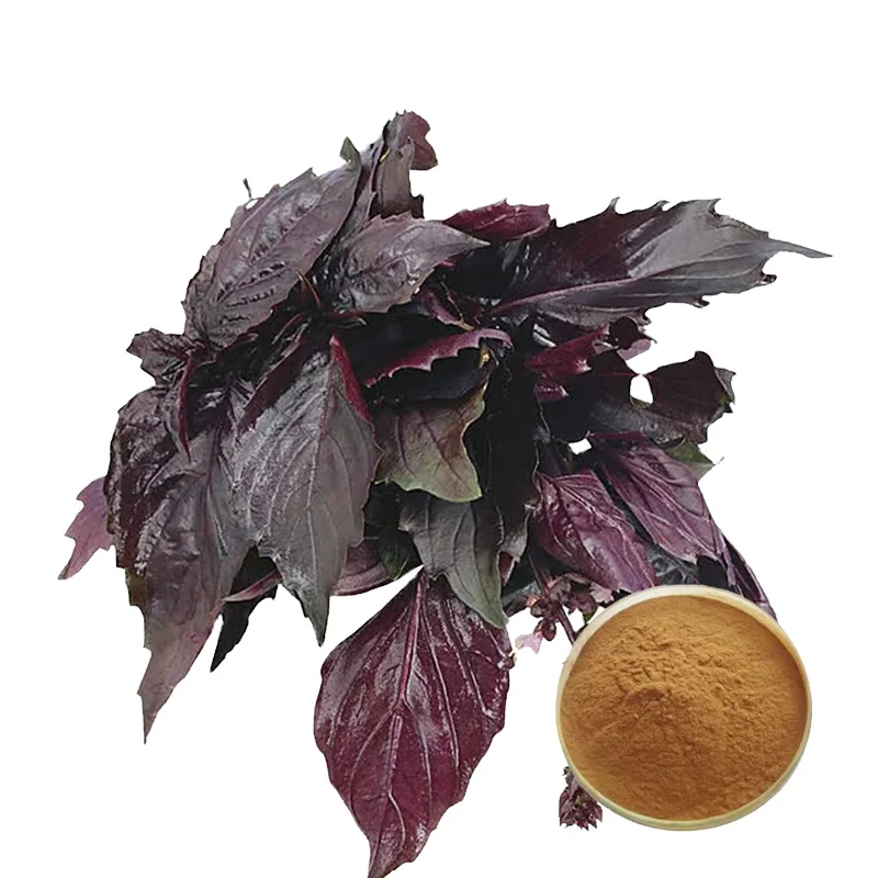 Factory Wholesales Top Quality Natural Perilla Leaf Extract Powder