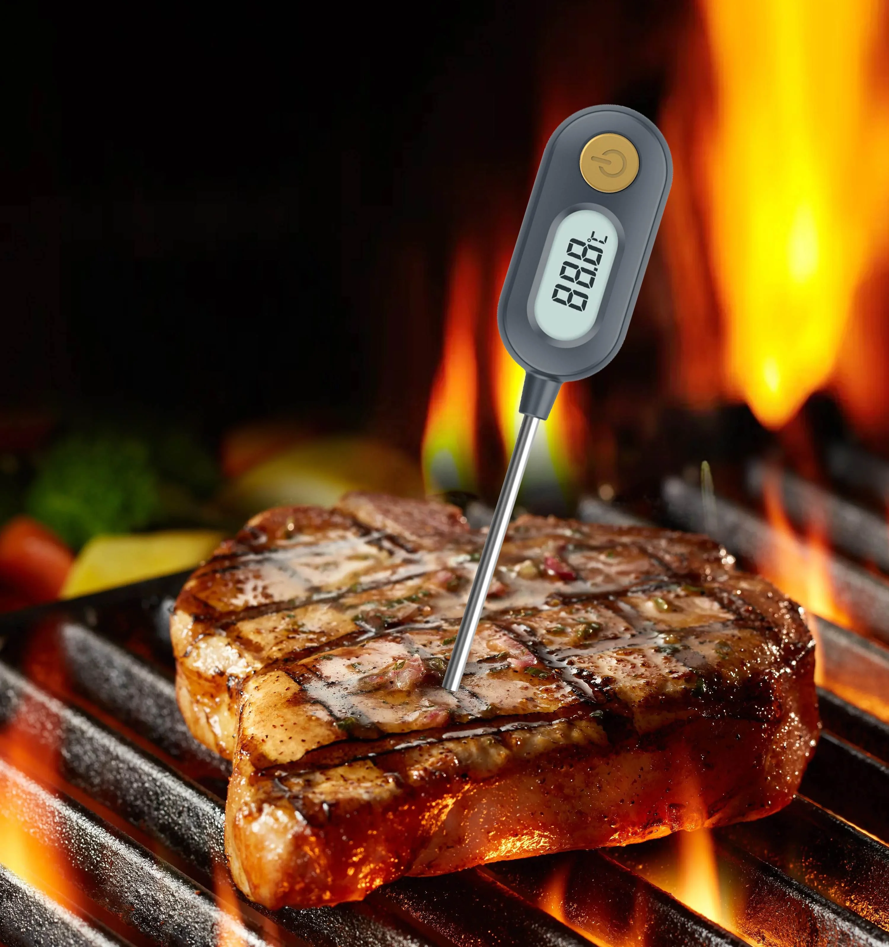 ABS And Stainless Steel Probe LCD Display Cover Digital Kitchen Thermometer