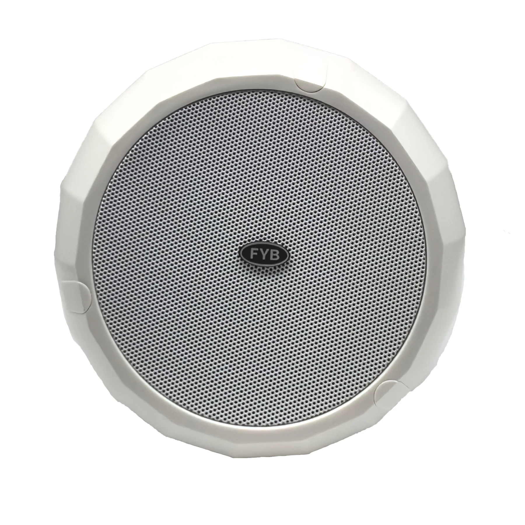 FYB High End Pendant PA Pendent Speaker Economic Hanging Speaker on ceiling for background music White and Black