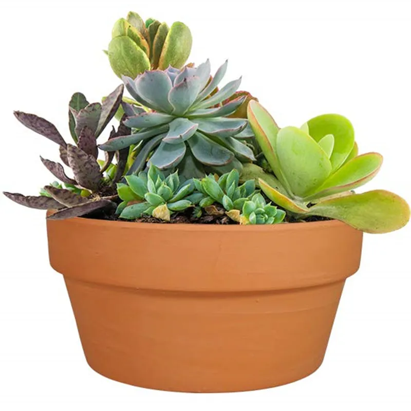 Small Clay Pots for Plants 4.5 inch Shallow Terracotta Pots with Drainage Hole Succulent Terracotta Pot