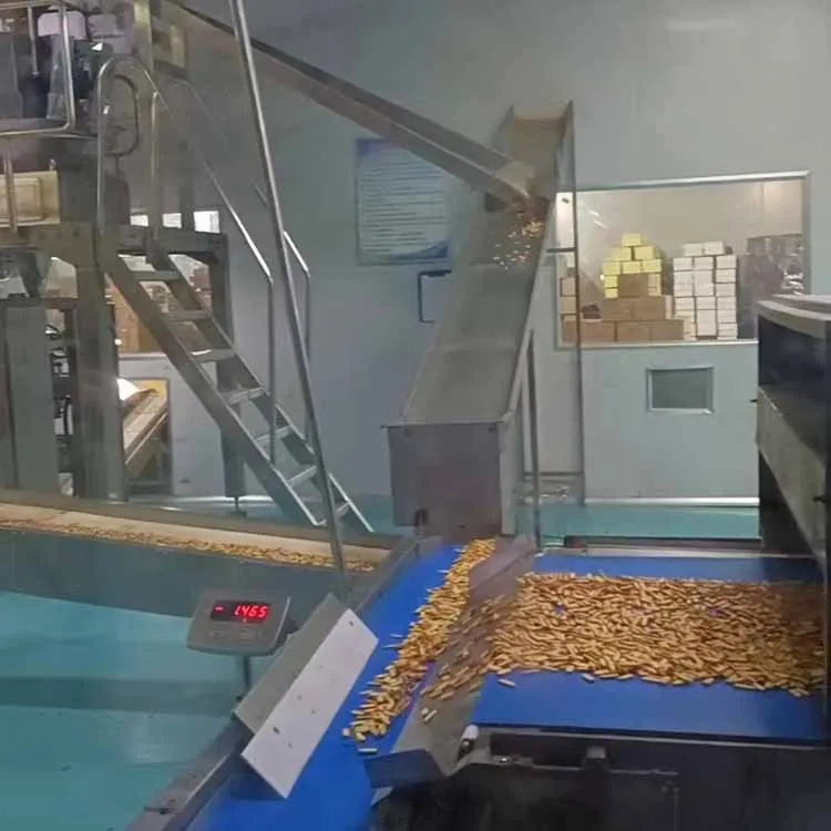 Fully automatic new style highly recommended electric biscuit maker machine Biscuit Production Line