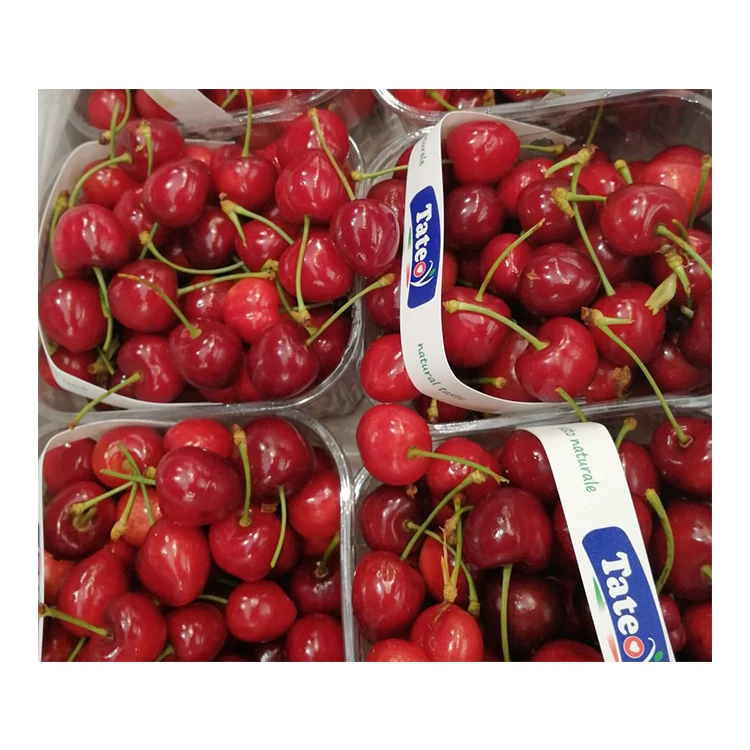 Italy Premium Cherries Fresh Cherry Fruit