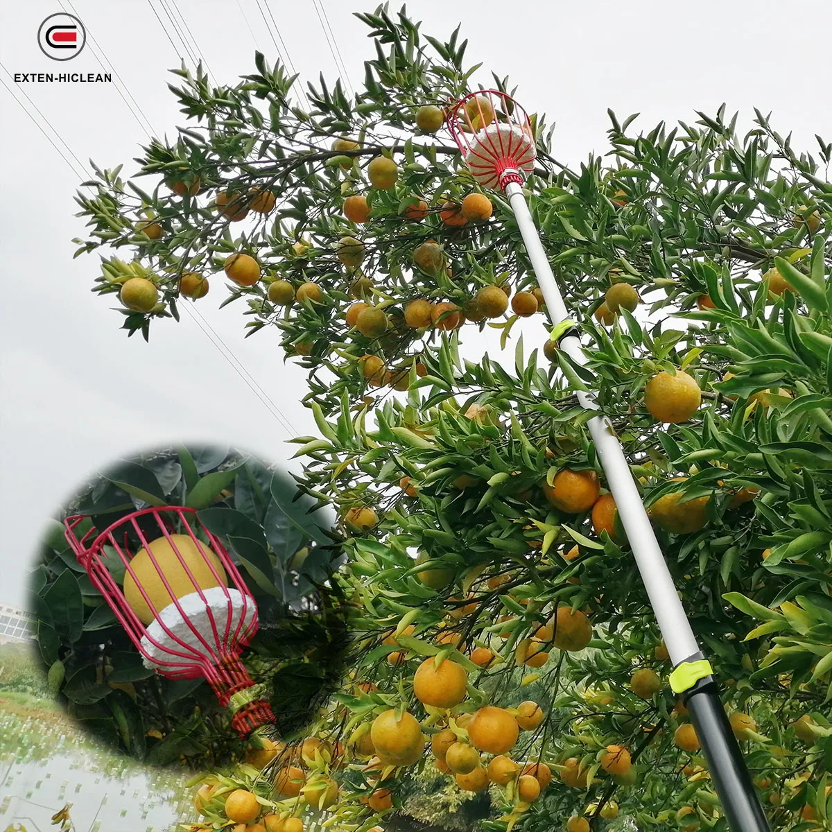 Extentool fruit picker pole garden pluck tool telescopic extention pole