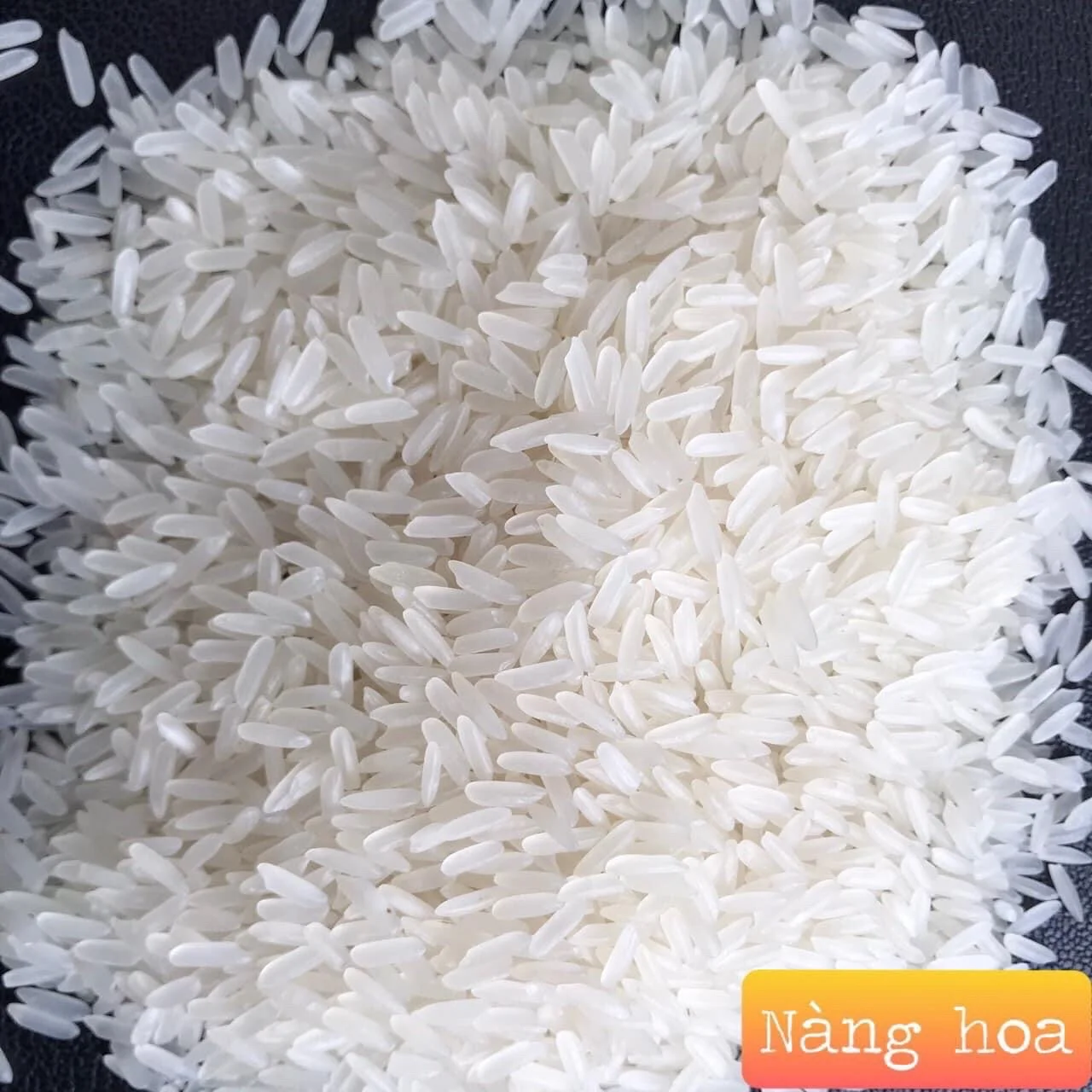Variety Dried SIC Rice BRC Fresh Grain Broken Place Model HACCP Ratio Nang Hoa Rice Soft Fragrant Long Grain White