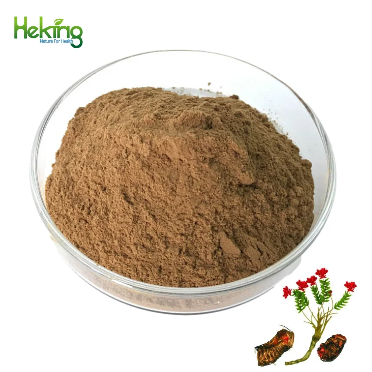 hot sale manufacture of herb extract powder salidroside rosavin 5% Rhodiola Rosea Extract
