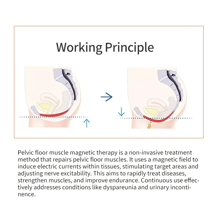EMS Pelvic Floor Treatment Post-natal Repair Pelvic Chair Pelvic Floor Muscle Trainer Ems Pelvic Floor Chair