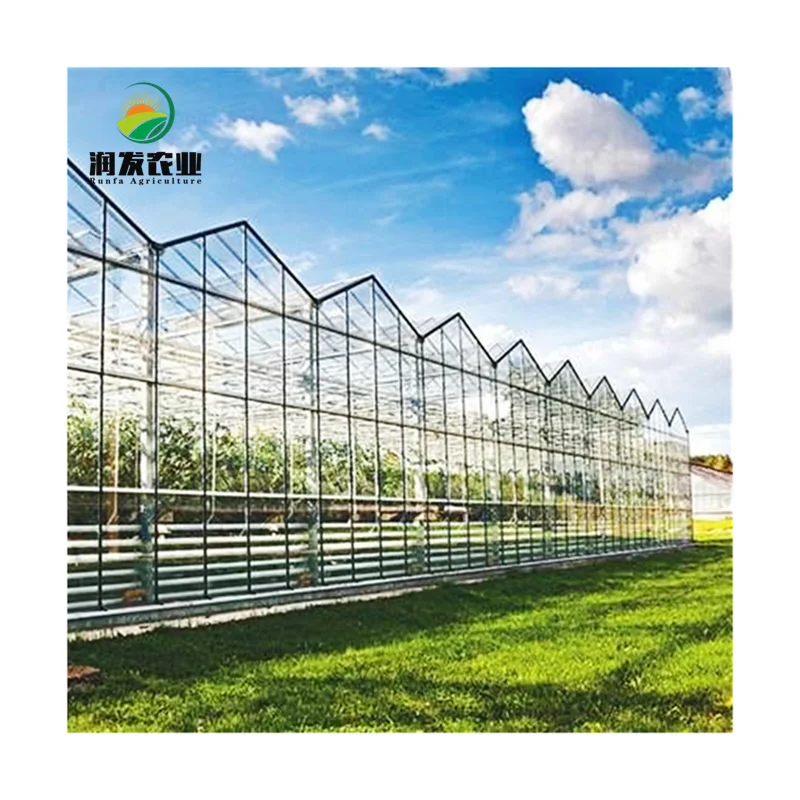 Large Multi-Span Victorian Greenhouses Commercial Venlo Glass Greenhouse With Irrigation&Hydroponics Equipment