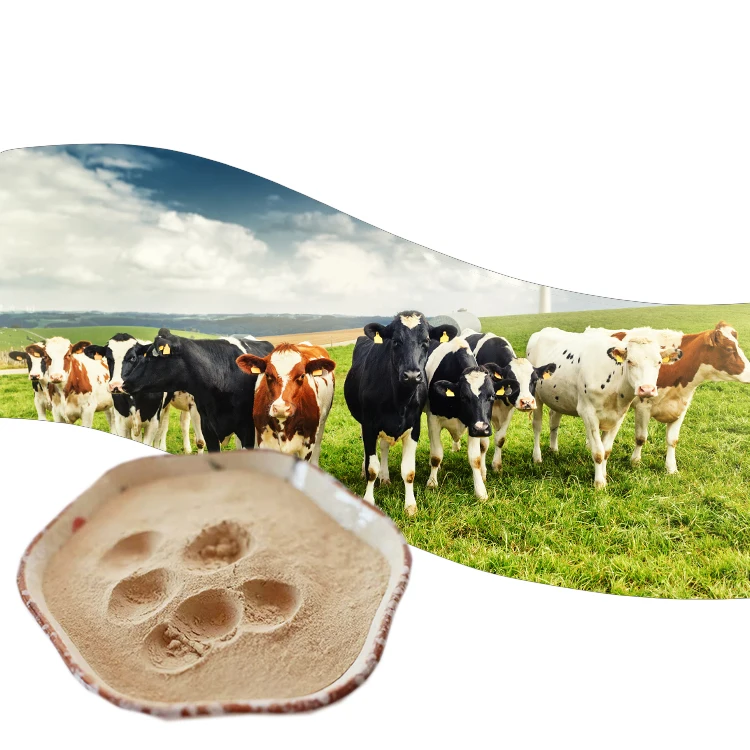 Hot sale animal feed grade compound enzyme for beef cattle antibiotics alternatives