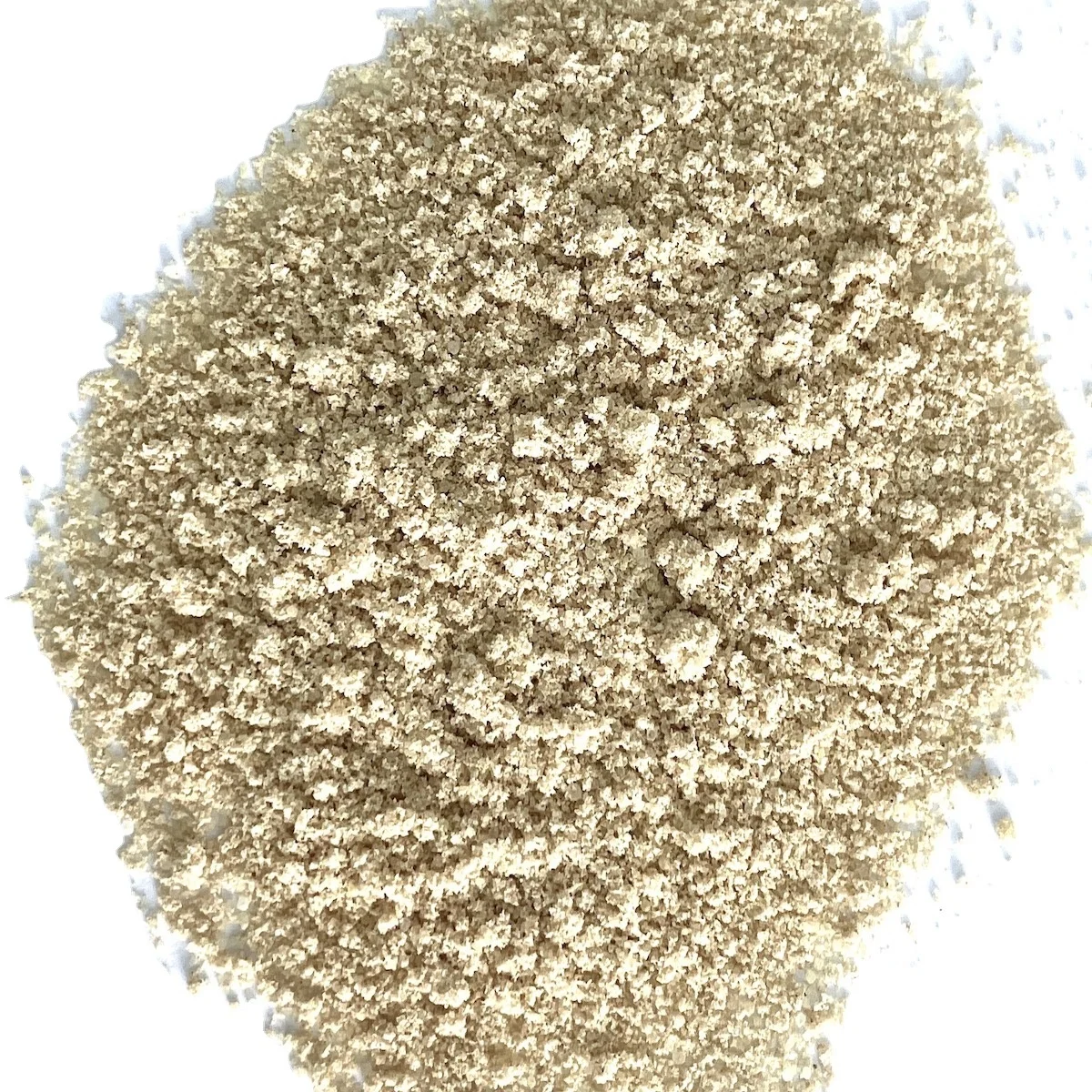 20kg Halal Dried Philippines Flavor Chicken Powder Seasonings