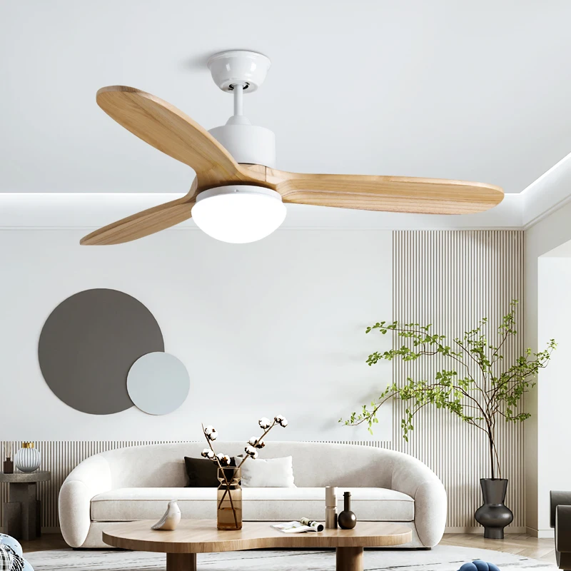 Modern Nordic fan LampSimplicity Low Profile Home Remote Control Led Ceiling Fan With light