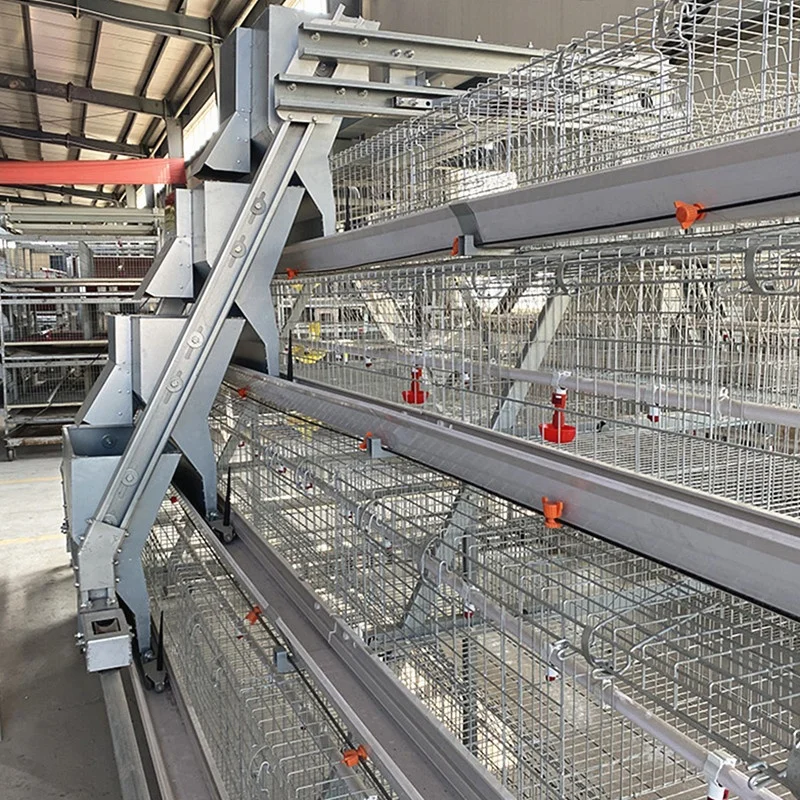 610x500x400 Big Size A Type of Multi-Layer Professional Chicken Cages for Broilers and Chicks.jpg