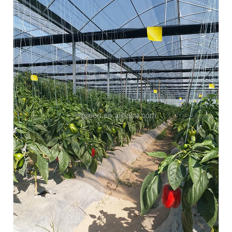 Film Frame Plastic Large Green House Metal Frame Large Plastic Tray for Seed Planting Large Glass Flower Base Customizable Size