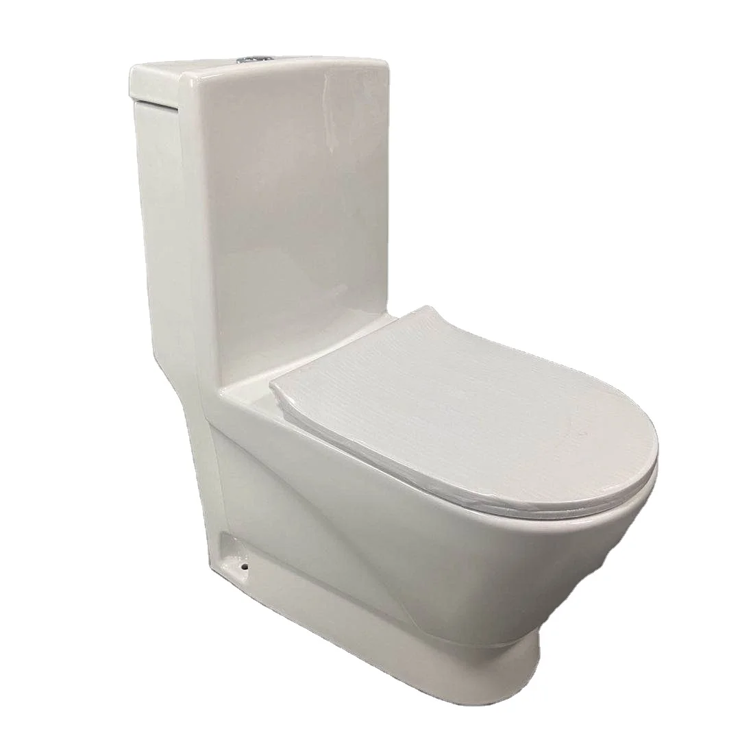High quality  one piece western Design Chinese washdown white chemical third party toilet