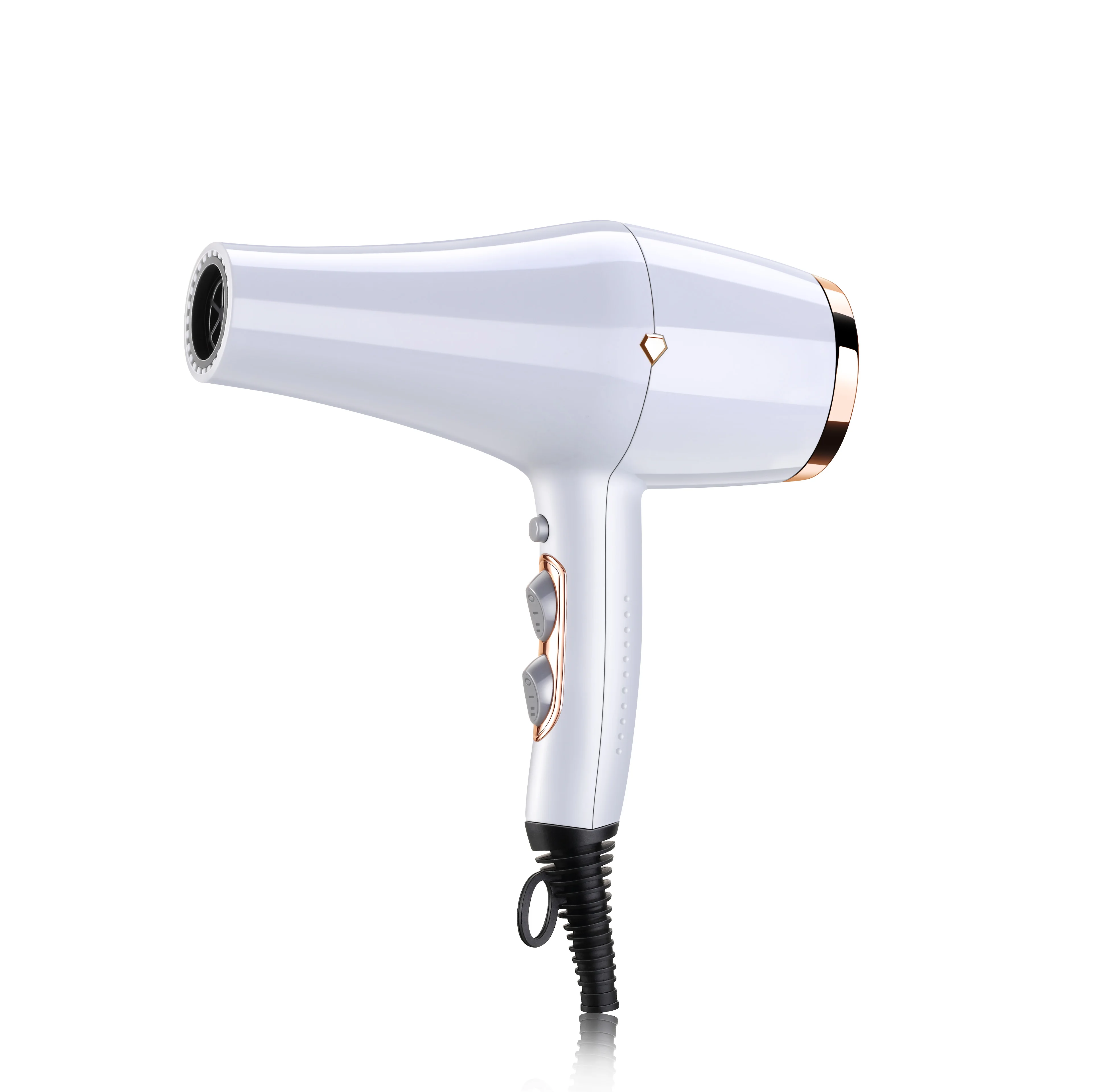 Wholesale AC DC Motor Private label professional salon hair dryer with  diffuser