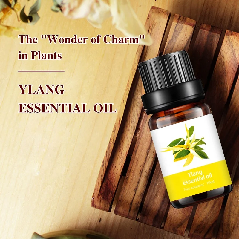 Low MOQ Wholesale Therapeutic Ylang Ylang Essential Oil Moisturizer Acne Treatment Ylang Oil for Hair