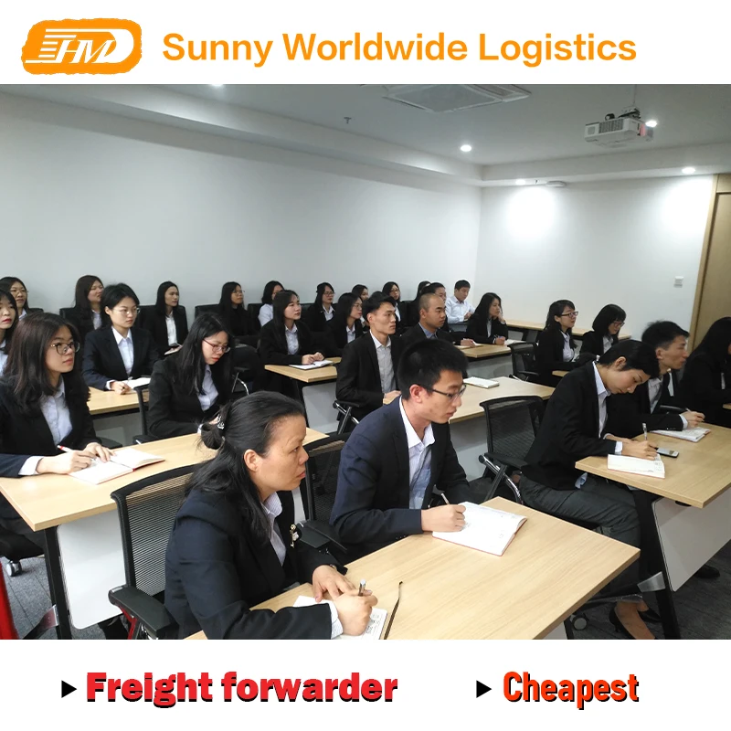 swwls Air express shipping agent to Canada usa  Italy France uk from FBA China Shenzhen freight forwarder to dubai