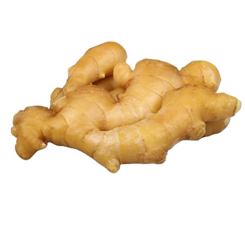 Ginger Yellow Top Quality Good For Your Health Best Price Good Price