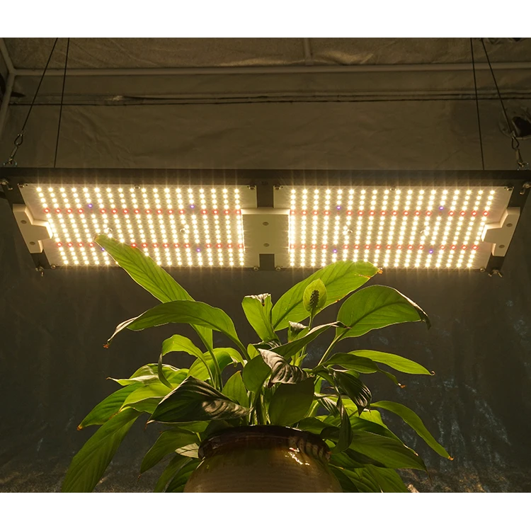 2024 KB Qb288 lm301h KingBrite 240W  Board Samsung Lm301H red mix UV IR Led Grow Light