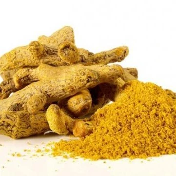 Natural Pure Dried Ginger Root Extract Powder Gingerol/plant extract
