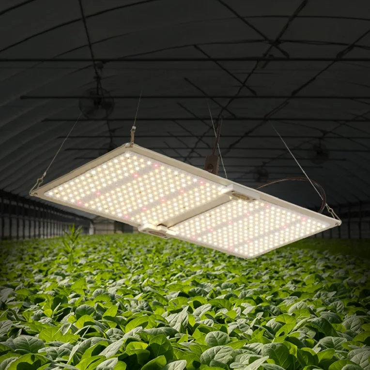 2021 Aluminum Alloy Body Commercial Grow Light Indoor Plants Knob Dimming  Qb Full Spectrum Led Grow Lights