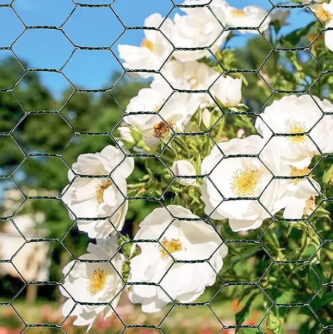 Galvanized Hexagonal Iron Wire Mesh/Black PVC Coated Woven Chicken Wire Fence